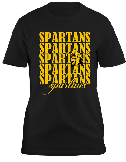 Exclusive Deal 10 for $135 School Spirit Tees